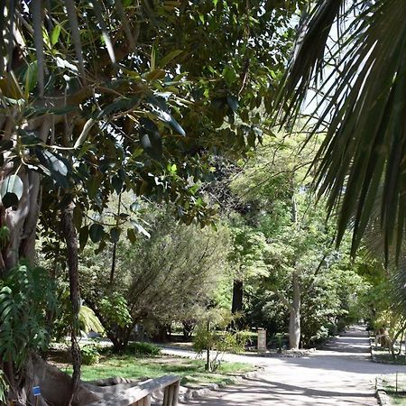 Green Apartment-City Centre Cagliari Dış mekan fotoğraf